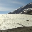 Der Columbia Icefields Gletscher Der Columbia Icefields Gletscher