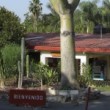 <b>Die Sprachschule und danach</b>