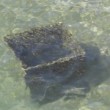 <b>Plastik als Müll im Meer</b>